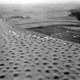Image for article titled Amazing Landforms Shaped By Animals